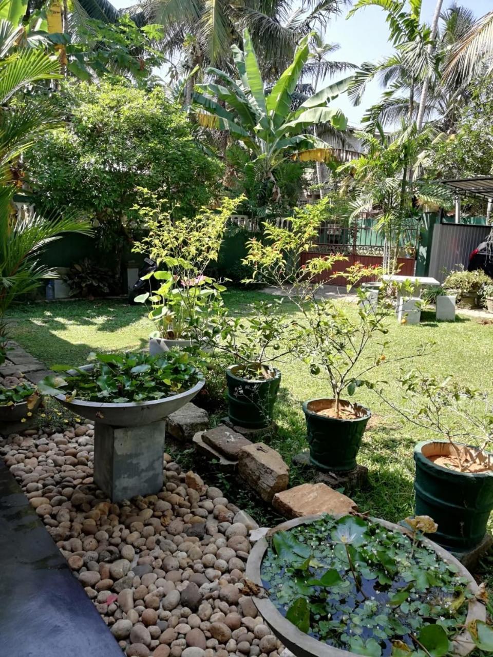 Serenity Villa Хикадува Екстериор снимка
